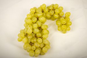 a bunch of grapes on a white surface